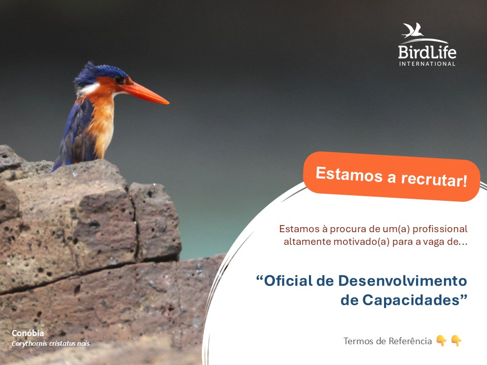 Vaga Para Oficial de Desenvolvimento de Capacidades