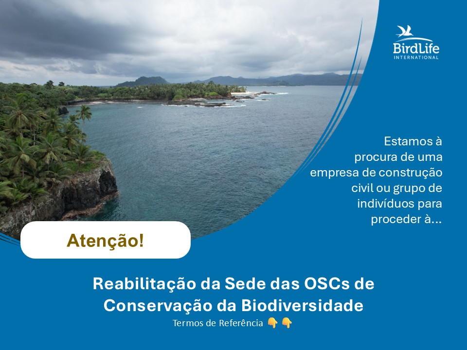 BirdLife solicita propostas para reabilitação de parte do antigo edifício de uma central eléctrica