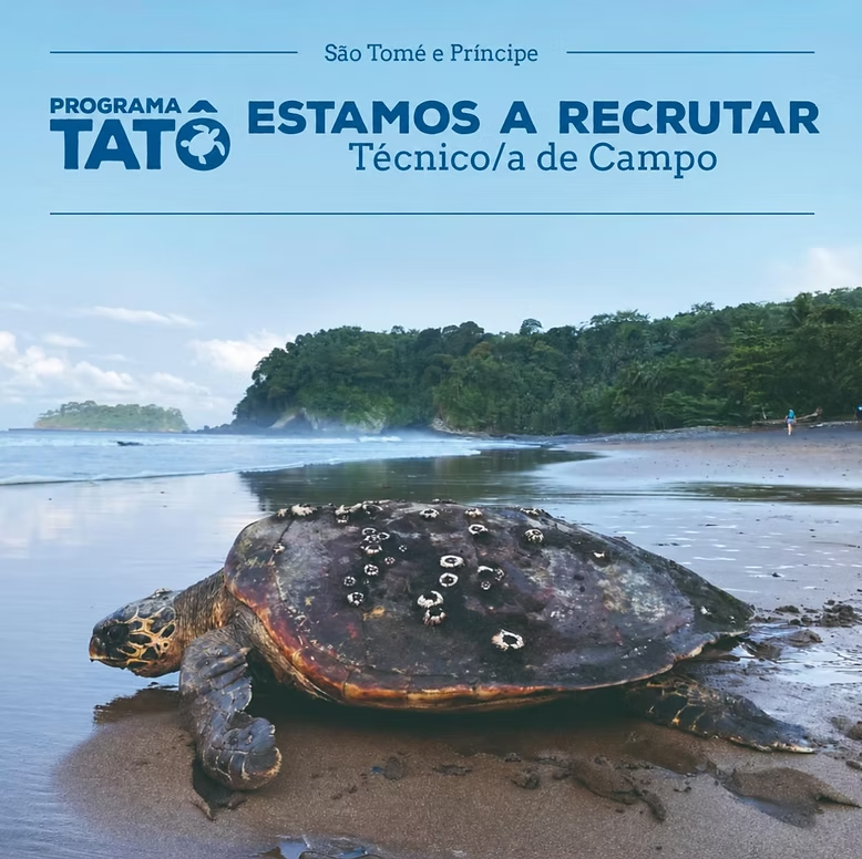 Recrutamento de Técnico/a de Campo