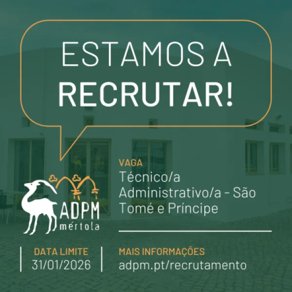Vaga para Técnico/a Administrativo/a