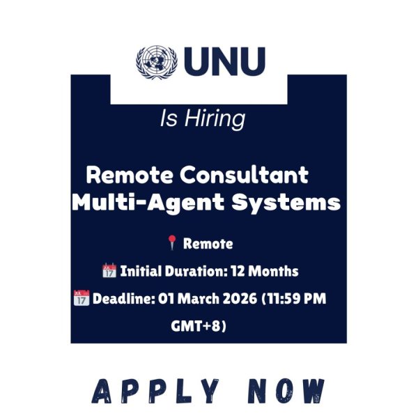 Open Position for Remote Consultant in Multi-Agent Systems