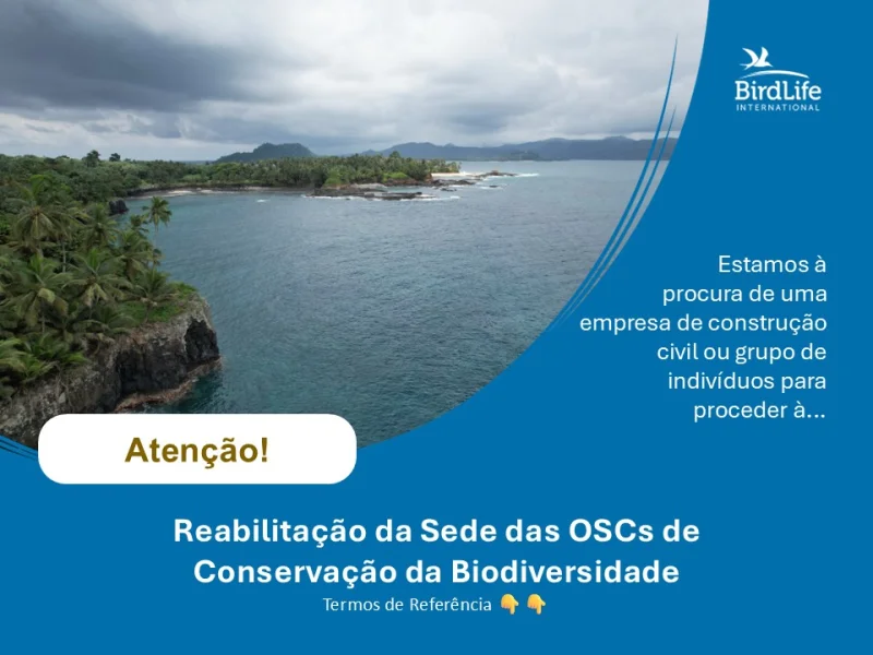 BirdLife solicita propostas para reabilitação de parte do antigo edifício de uma central eléctrica