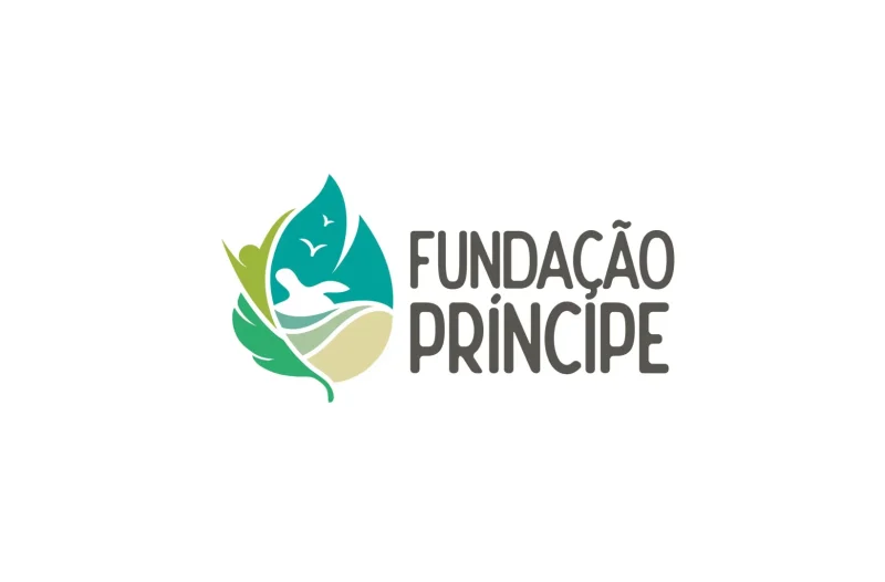 Vaga Para Consultor Nacional para Projetos Sociais