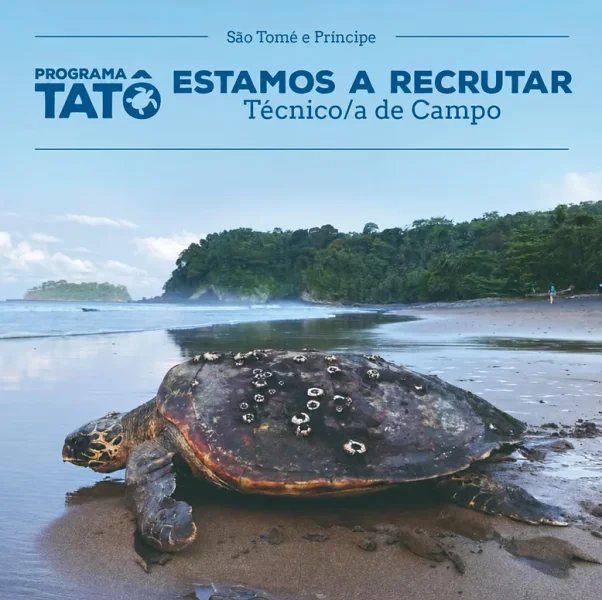 Recrutamento de Técnico/a de Campo