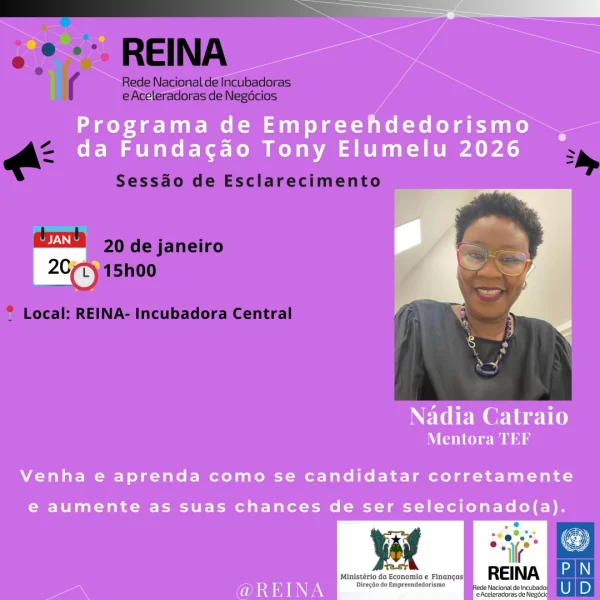 Programa TEF 2026 – Fundação Tony Elumelu