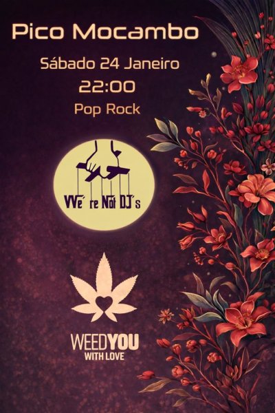 Pop Rock com We're Not DJ's