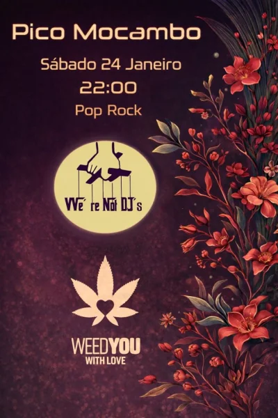 Pop Rock com We're Not DJ's